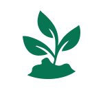 Développement durable Le développement durable à Couzon